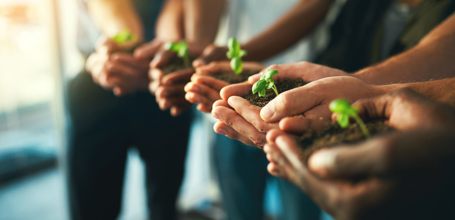 Mitarbeitende halten gemeinsam kleine Setzlinge in der Hand als Symbol für nachhaltiges Handeln im Empfangsdienst.